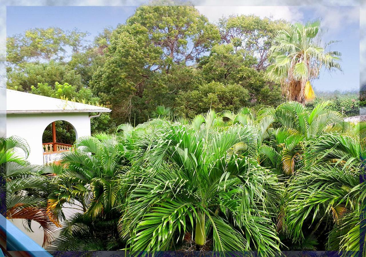 Ti Studio Creole Mahogany Sainte-Anne Exterior photo